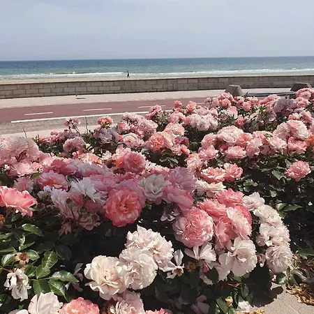 Accogliente Mansardato Vicino Al Mare *