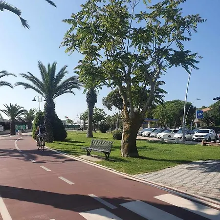 Accogliente Mansardato Vicino Al Mare Apartment